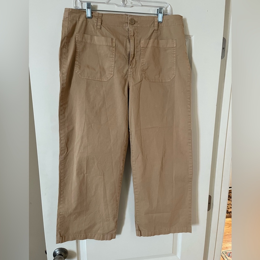 Social Standard by Sanctuary Tan Cropped Pants Women’s Size 14